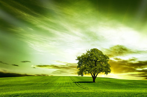Paesaggio con tonalità verdi e albero al centro