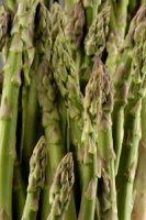 asparagi