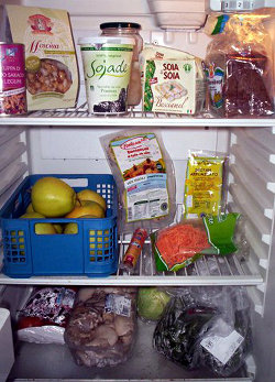 frigo vegan