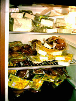 frigo vegan