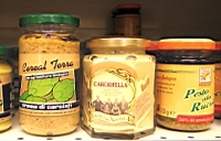 piatto vegan