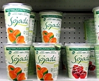 yogurt di soia