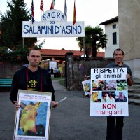 protesta cartelloni
